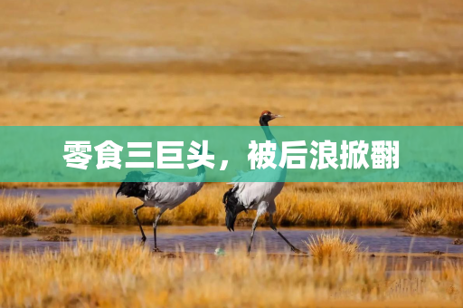 零食三巨头，被后浪掀翻