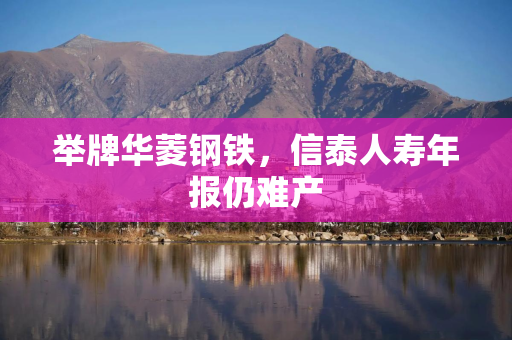 举牌华菱钢铁，信泰人寿年报仍难产