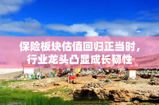 保险板块估值回归正当时，行业龙头凸显成长韧性
