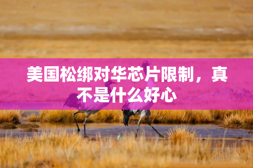 美国松绑对华芯片限制，真不是什么好心