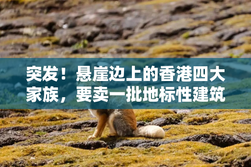 突发！悬崖边上的香港四大家族，要卖一批地标性建筑回血