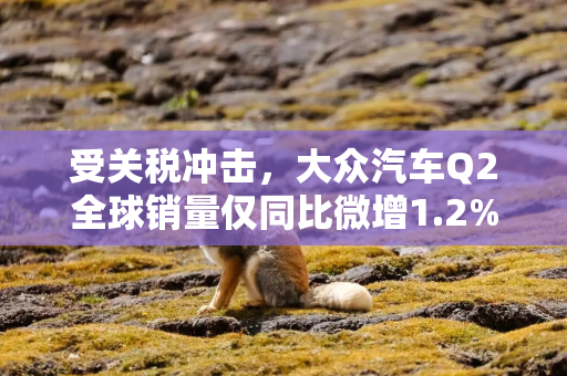 受关税冲击，大众汽车Q2全球销量仅同比微增1.2%，美国销量骤降16%
