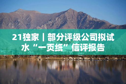 21独家｜部分评级公司拟试水“一页纸”信评报告