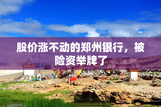 股价涨不动的郑州银行，被险资举牌了