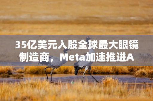 35亿美元入股全球最大眼镜制造商，Meta加速推进AI眼镜业务