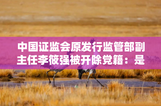 中国证监会原发行监管部副主任李筱强被开除党籍：是政商“旋转门”腐败的典型