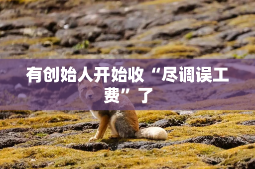 有创始人开始收“尽调误工费”了