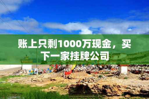 账上只剩1000万现金，买下一家挂牌公司