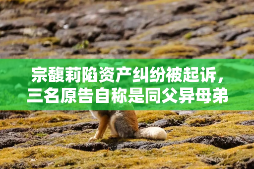 宗馥莉陷资产纠纷被起诉，三名原告自称是同父异母弟妹，要求冻结18亿美元账户