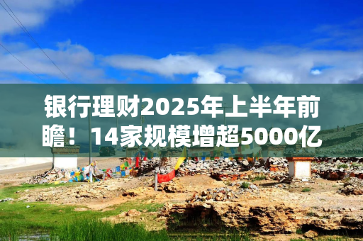 银行理财2025年上半年前瞻！14家规模增超5000亿元，现金管理产品大缩水，权益配置有了新途径