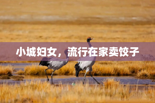 小城妇女，流行在家卖饺子