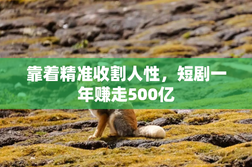 靠着精准收割人性，短剧一年赚走500亿