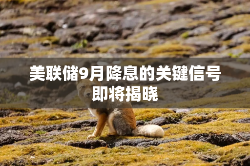 美联储9月降息的关键信号即将揭晓