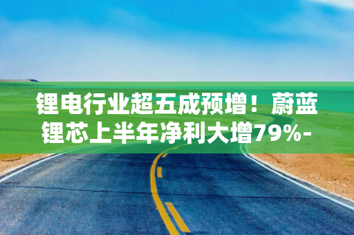 锂电行业超五成预增！蔚蓝锂芯上半年净利大增79%-115%，海外业务下半年将达产