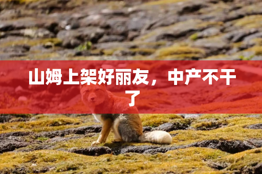山姆上架好丽友，中产不干了