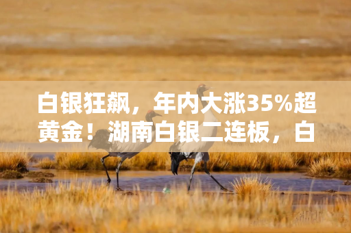 白银狂飙，年内大涨35%超黄金！湖南白银二连板，白银有色盘中涨停