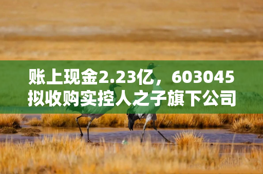 账上现金2.23亿，603045拟收购实控人之子旗下公司！股价跌逾7%
