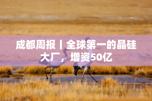 成都周报丨全球第一的晶硅大厂，增资50亿