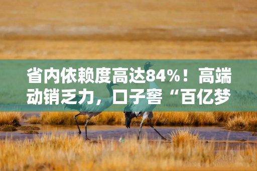 省内依赖度高达84%！高端动销乏力，口子窖“百亿梦”遭遇强阻？