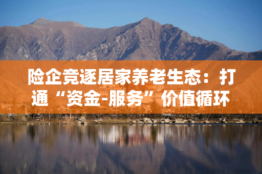 险企竞逐居家养老生态：打通“资金-服务”价值循环链，覆盖“医护住娱”等多维场景