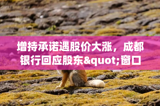 增持承诺遇股价大涨，成都银行回应股东"窗口期内择机履行"