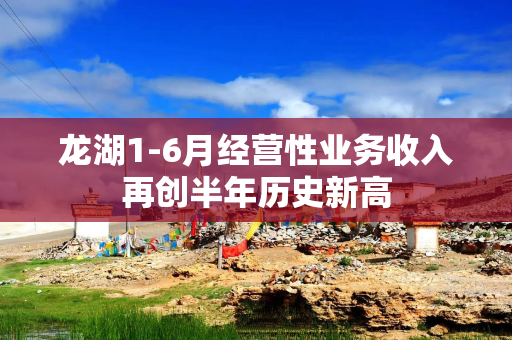 龙湖1-6月经营性业务收入再创半年历史新高