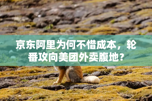 京东阿里为何不惜成本，轮番攻向美团外卖腹地？