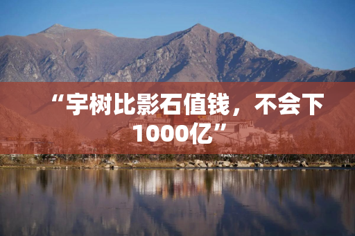 “宇树比影石值钱，不会下1000亿”
