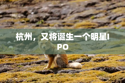 杭州，又将诞生一个明星IPO