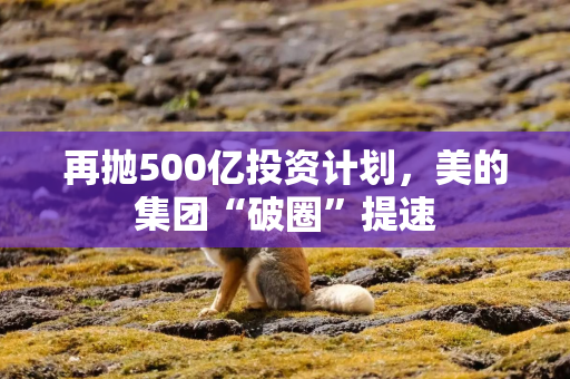 再抛500亿投资计划，美的集团“破圈”提速