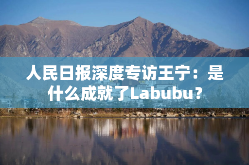 人民日报深度专访王宁：是什么成就了Labubu？