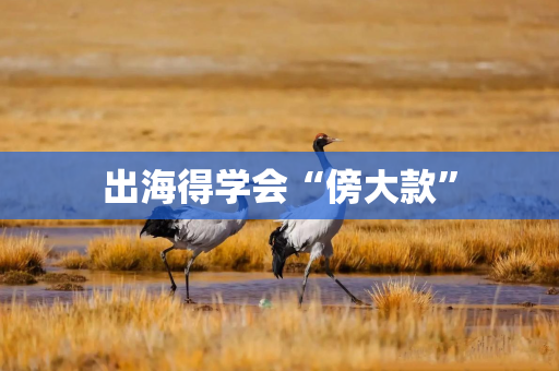 出海得学会“傍大款”