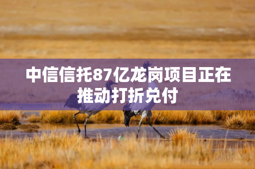 中信信托87亿龙岗项目正在推动打折兑付