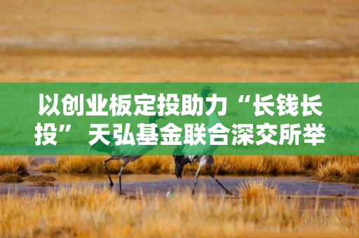 以创业板定投助力“长钱长投” 天弘基金联合深交所举办ETF大讲堂活动
