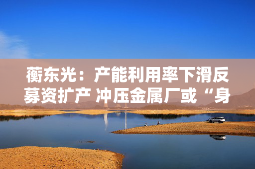 蘅东光：产能利用率下滑反募资扩产 冲压金属厂或“身份”成谜