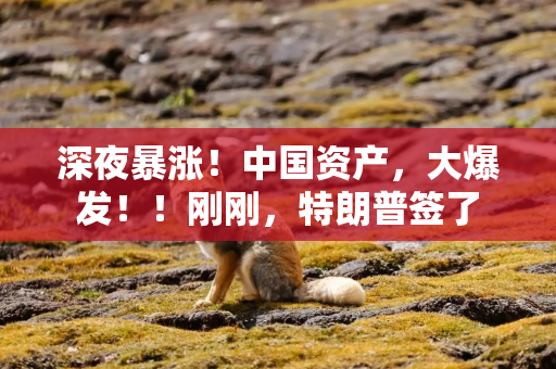 深夜暴涨！中国资产，大爆发！！刚刚，特朗普签了
