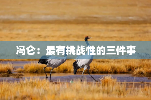 冯仑：最有挑战性的三件事
