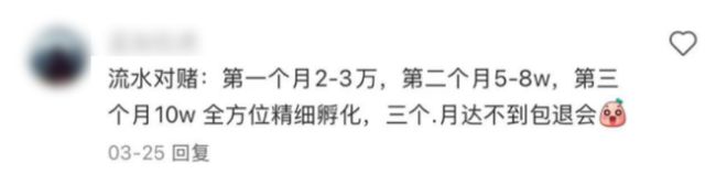 直播自己摆摊有人看吗__夏芽凉拳头入是哪部