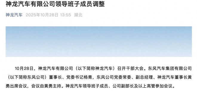 如何评价神龙汽车__神龙汽车还有希望吗