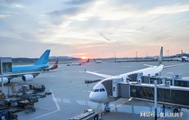 _航空业巨头_航空巨头小说