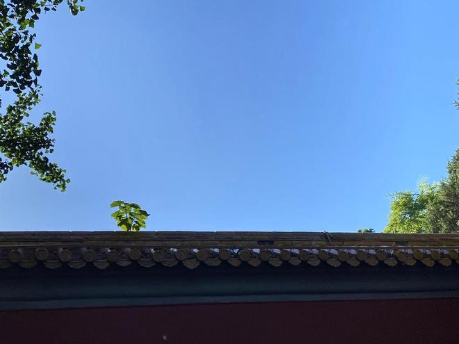 这十年，中国换了一种增长逻辑