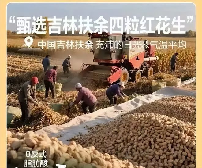 亲戚关系该断就断_花生良种9616_