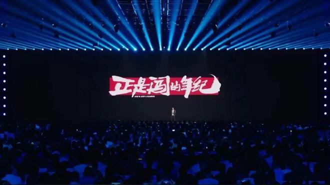 _雷军投资的芯片公司_雷军上大学赚钱