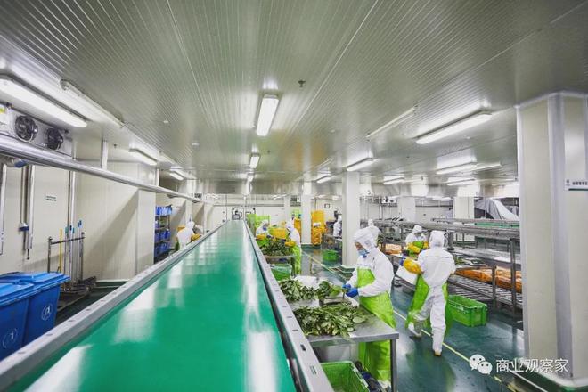 永辉彩食鲜CTO乔新亮明日正式离职_永辉彩食鲜CTO乔新亮明日正式离职_