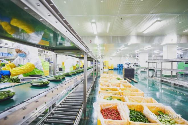 永辉彩食鲜CTO乔新亮明日正式离职__永辉彩食鲜CTO乔新亮明日正式离职
