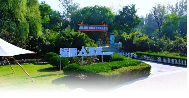 锅圈盈利模式分析_锅圈上市_