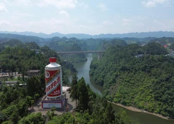 年轻人集体戒酒，让“老登”酒企的天快塌了__年轻人集体戒酒，让“老登”酒企的天快塌了