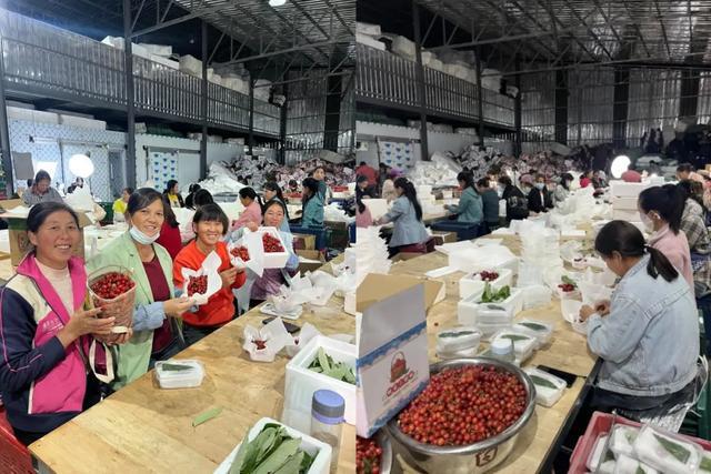 卖吃的小伙子是谁__小伙地摊买下视频