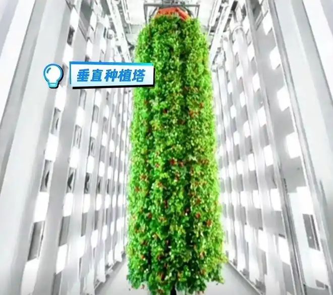_特朗普筹款2480万美元_工行美元理财会亏