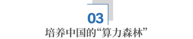中国巨力集团估值_力巨科技有限公司_